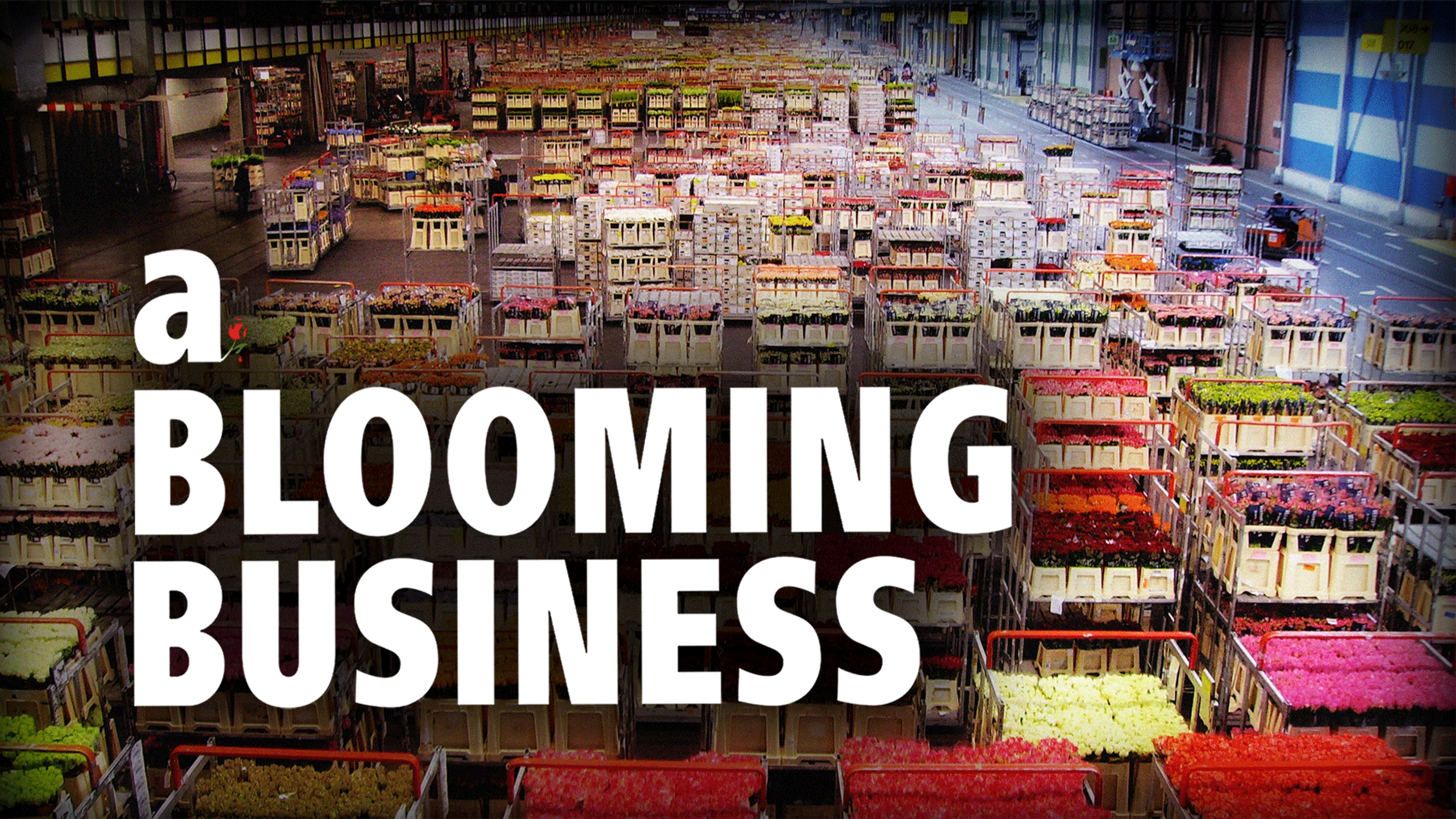 A Blooming Business poster